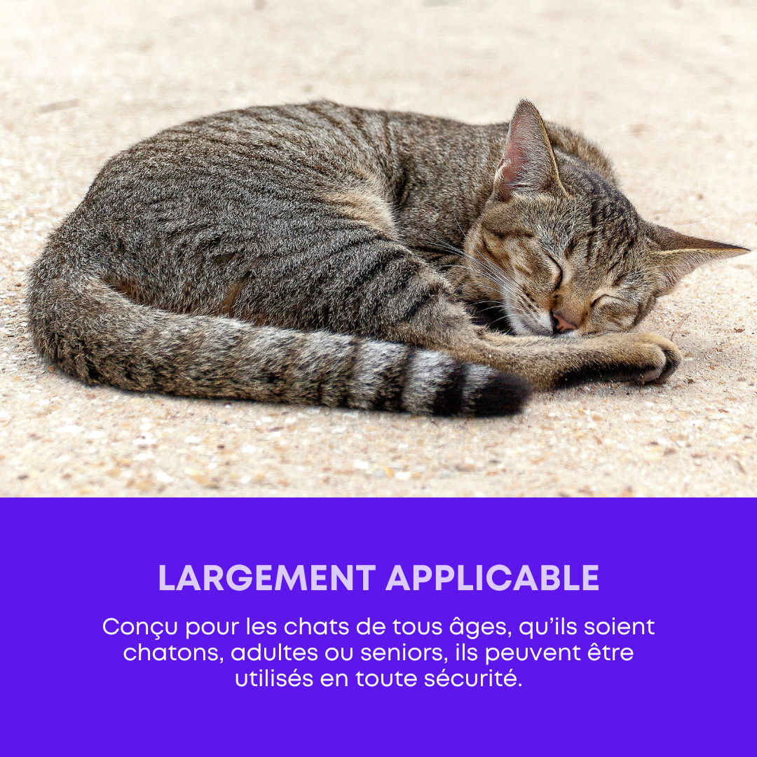 Calmivet Diffuseur Apaisant pour Chats
