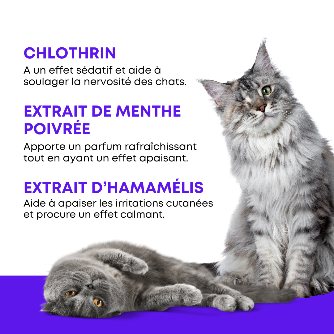 Calmivet Diffuseur Apaisant pour Chats