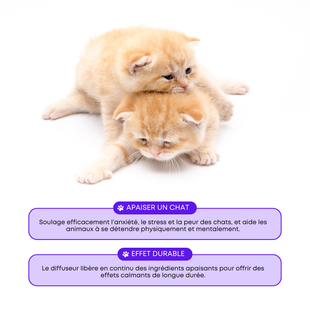 Calmivet Diffuseur Apaisant pour Chats
